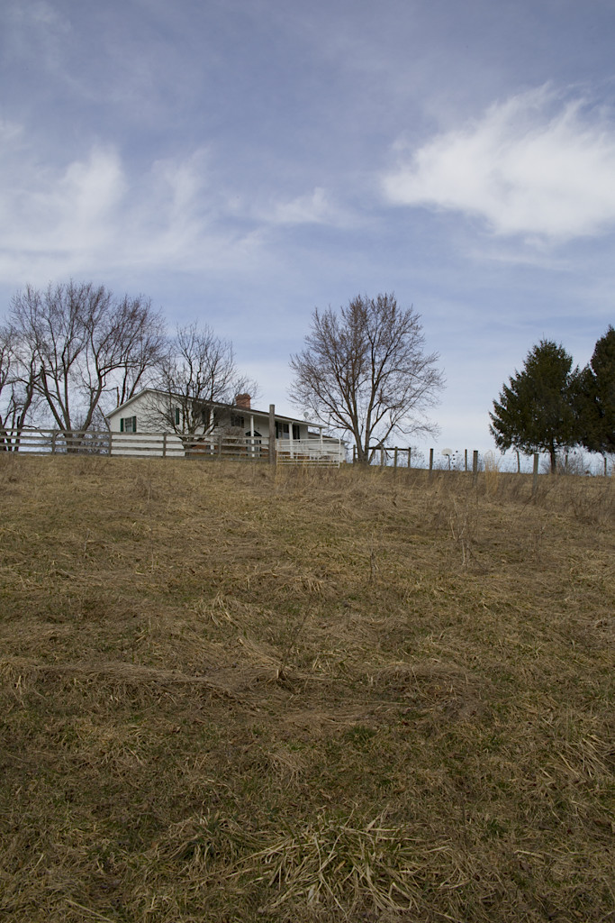 Looking toward the house from one of the pastures