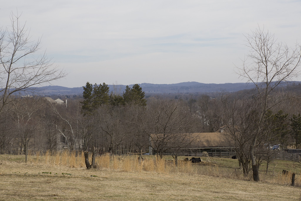 View looking roughly east from the property and across Open Space Land