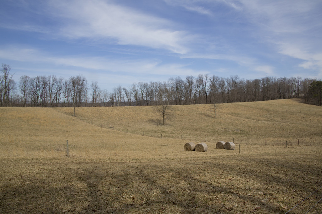View from the back of the property across Open Space Land