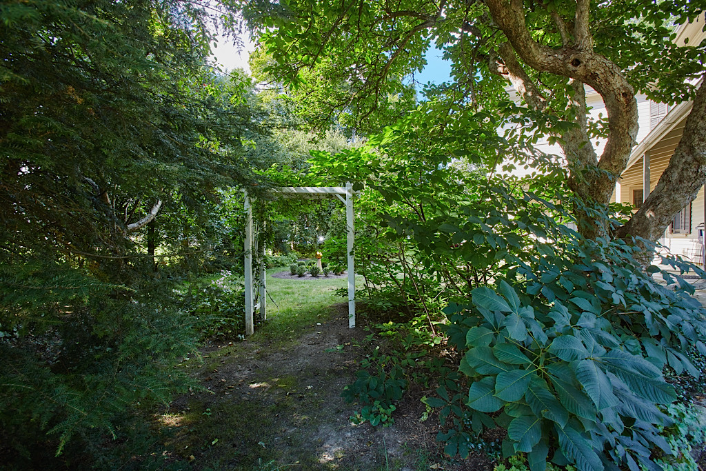 View of a portion of the side yard to the west of the house.