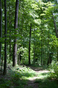 View of Sugar Loaf Park walking path